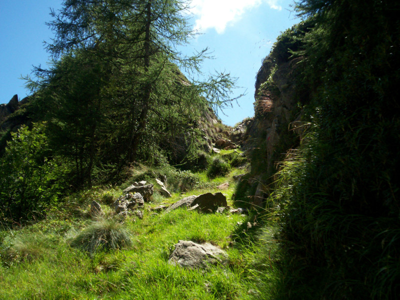 Colle Mologna piccola e lago Riazzale